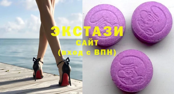 ECSTASY Бородино