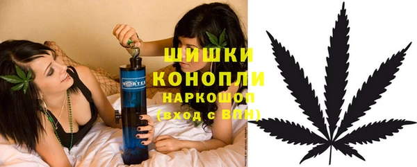 ECSTASY Бородино