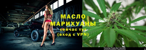 ECSTASY Бородино