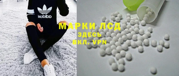 ECSTASY Бородино